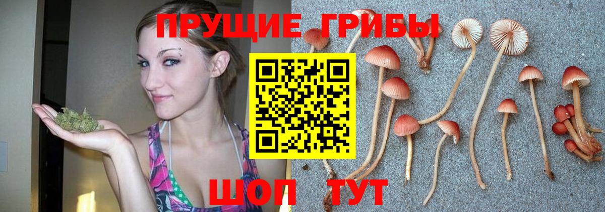 Менделеевск  Псилоцибиновые грибы прущие грибы  Вход с VPN 