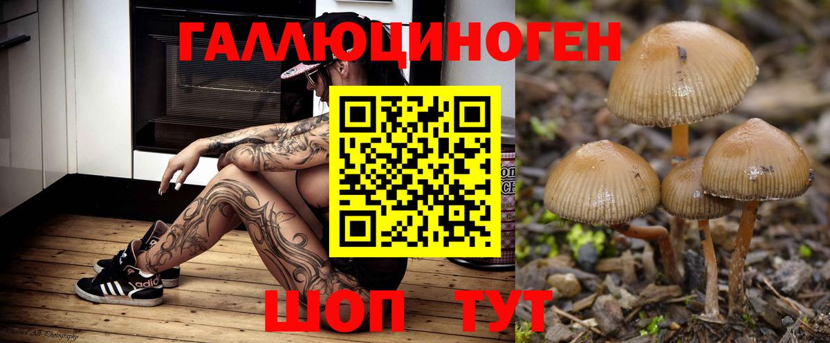 Галлюциногенные грибы MAGIC MUSHROOMS Менделеевск